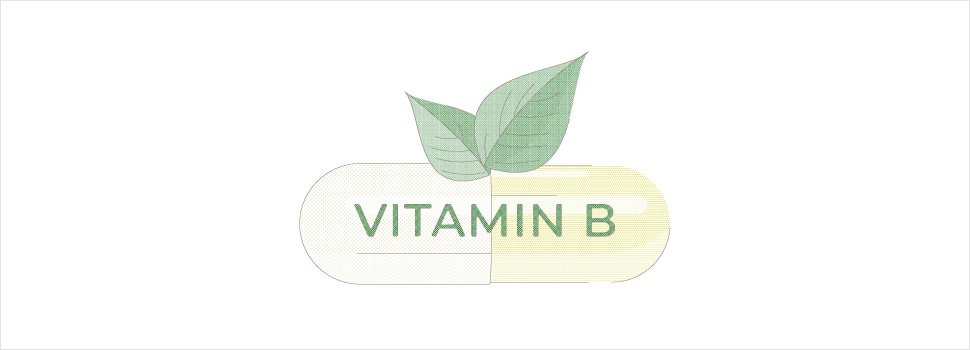 Vitamin B and Mosquitoes Does Vitamin B REALLY Repel