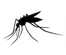 Bugs at Bay Mosquito Spray - DEET-Free Insect