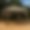 MASTERCANOPY Bermuda Gazebo 