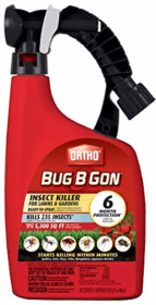 Ortho Bug B Gon Insect Killer Spray