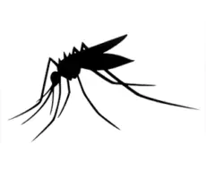 Off Deep Woods V Review<br />
 